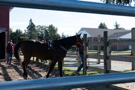 LR-WRF 10182025 Retreat-6340